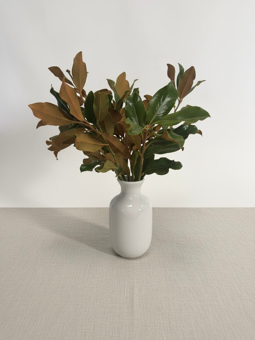 Fresh Magnolia Branches – Premium Cut Greenery