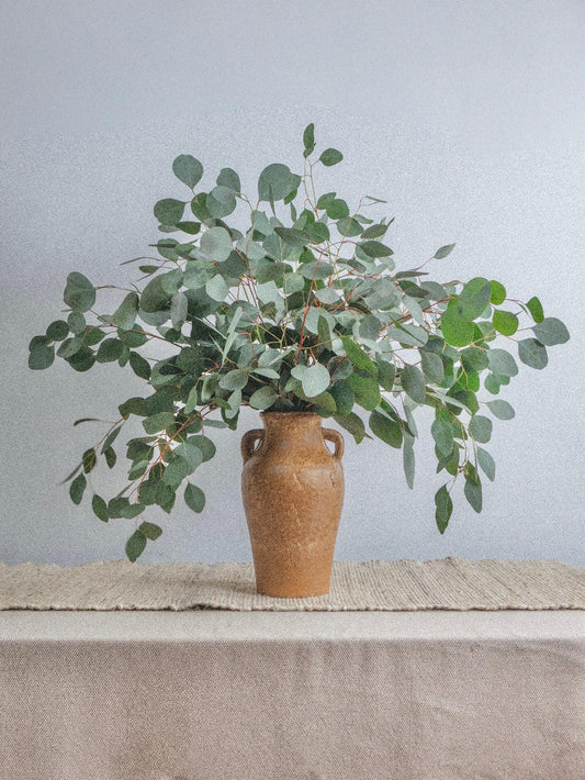 Silver Dollar Eucalyptus Bundle Fresh/Dried | Wedding Foliage Greenery - Hello Eucalyptus