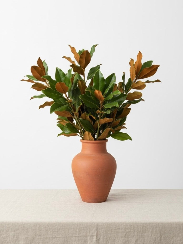 Fresh Magnolia Branches – Premium Cut Greenery