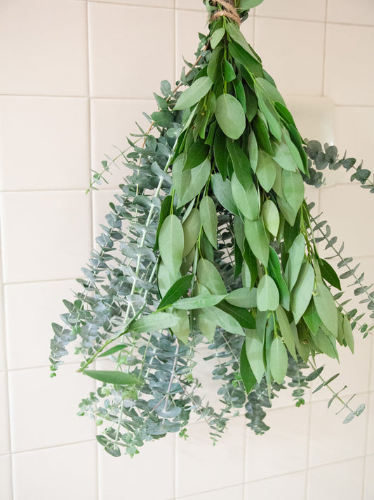 Bay Leaf & Baby Eucalyptus Shower Bundle (Limited)