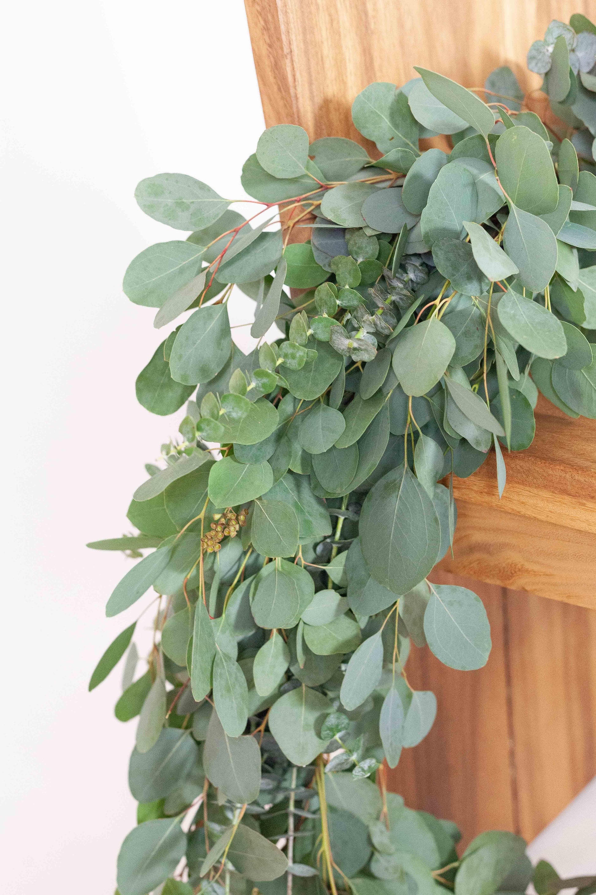 Fresh Deluxe Mixed Eucalyptus Garland - Hello Eucalyptus