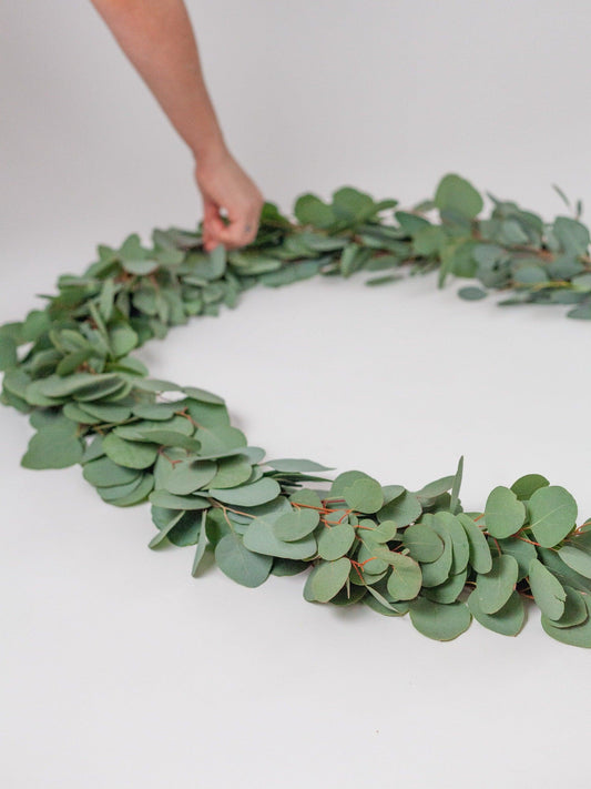 Fresh Silver Dollar Eucalyptus Garland - Hello Eucalyptus