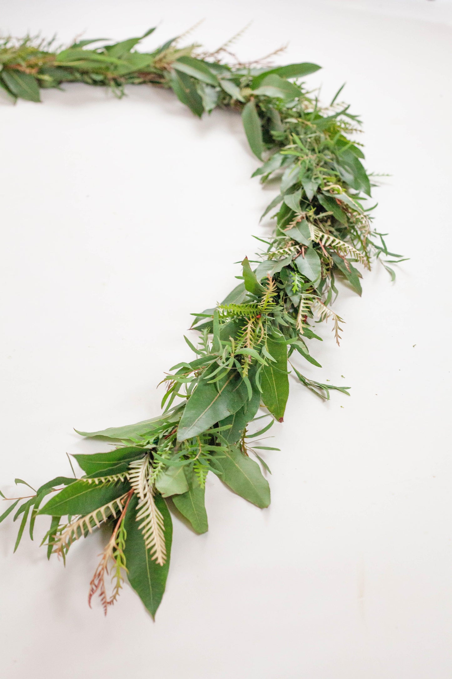 Fresh Mixed Feather Eucalyptus, Grevillea, Lemon Eucalyptus Garland - Hello Eucalyptus