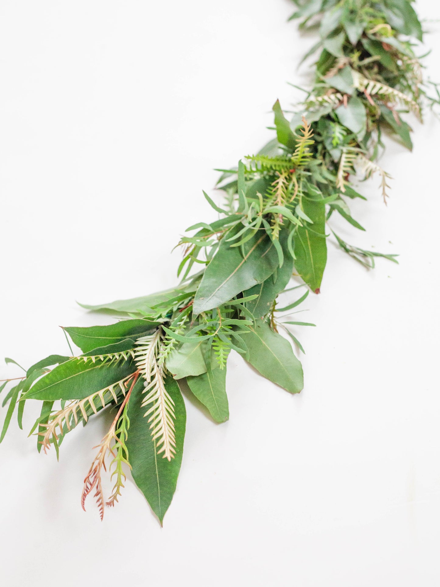 Fresh Mixed Feather Eucalyptus, Grevillea, Lemon Eucalyptus Garland - Hello Eucalyptus