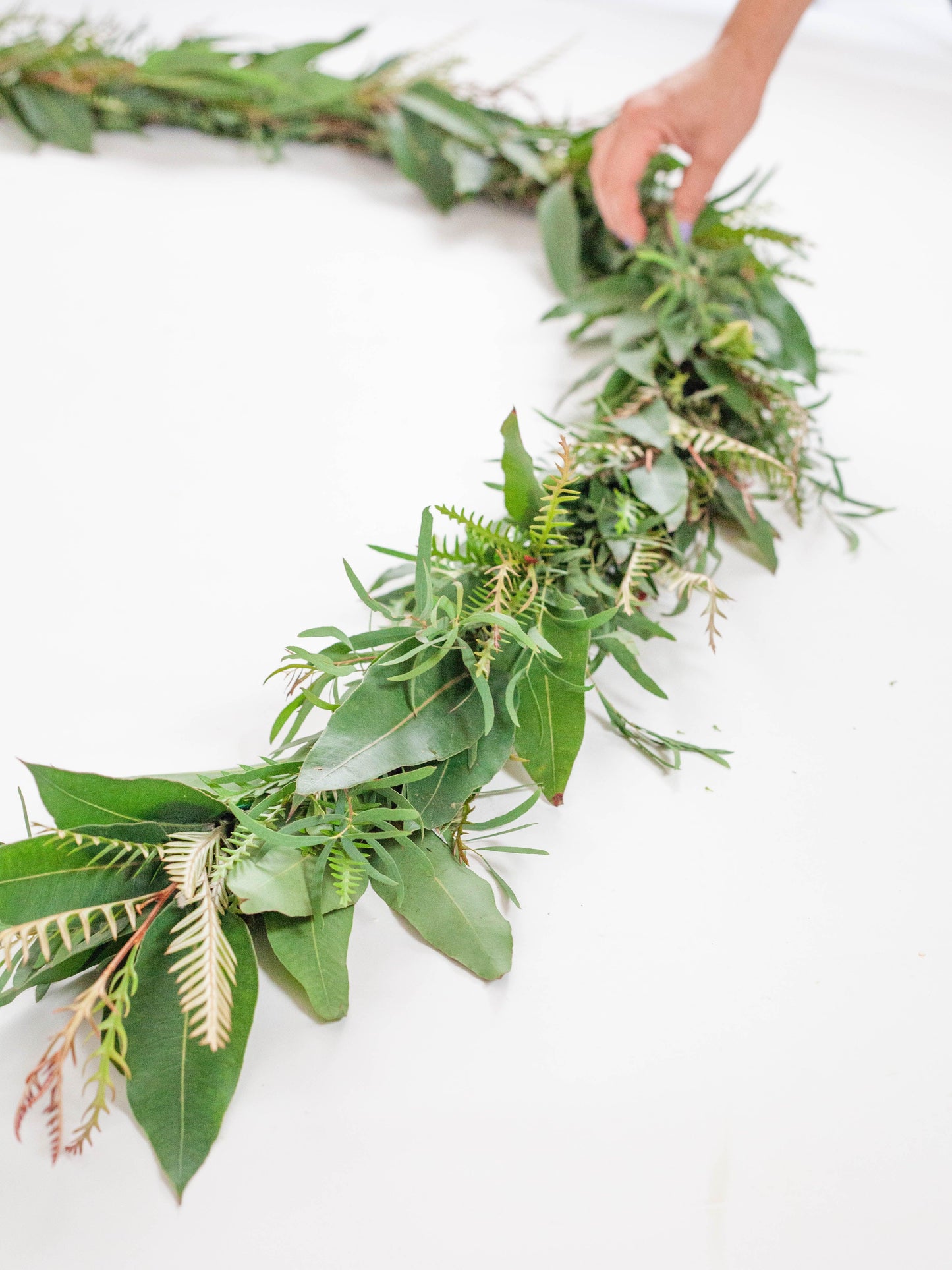 Fresh Mixed Feather Eucalyptus, Grevillea, Lemon Eucalyptus Garland - Hello Eucalyptus