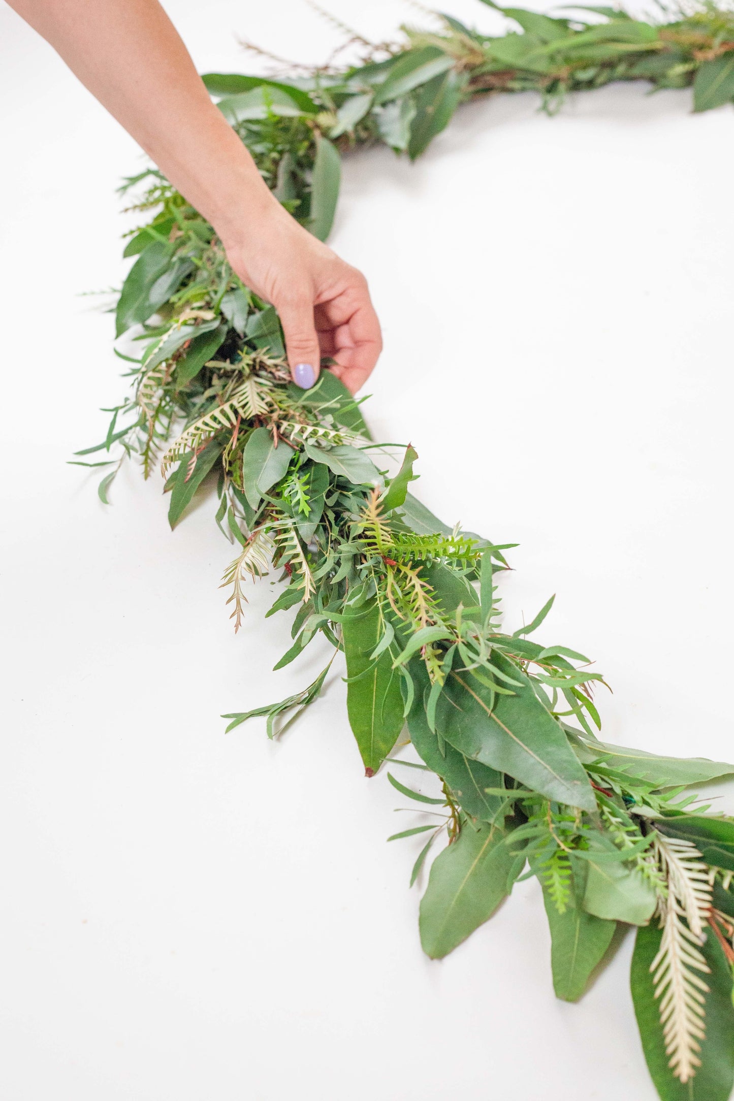 Fresh Mixed Feather Eucalyptus, Grevillea, Lemon Eucalyptus Garland - Hello Eucalyptus