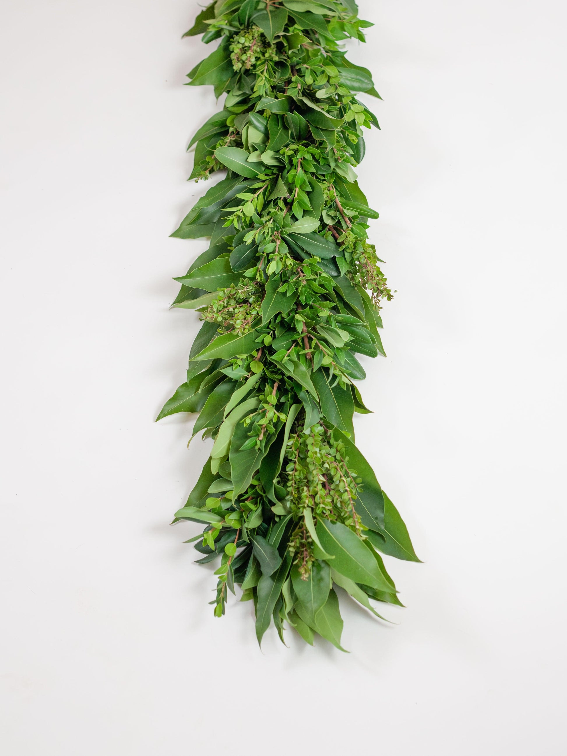Deluxe California Greens Fresh Garland | Seasonal Designers Choice Garland - Hello Eucalyptus