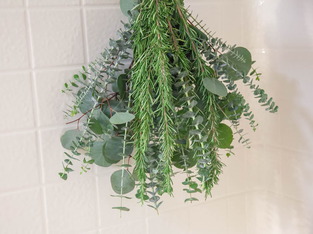 Fresh Eucalyptus & Rosemary Shower Bundle