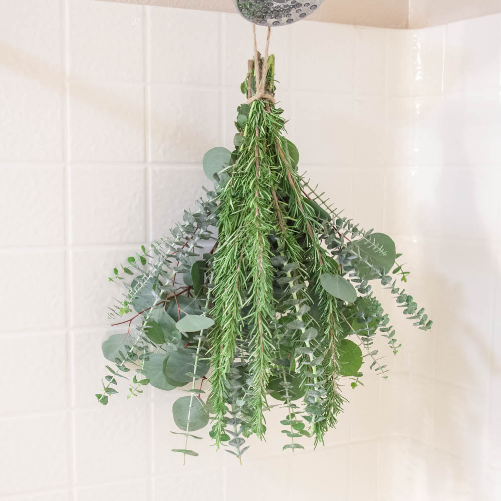 Fresh Eucalyptus & Rosemary Shower Bundle