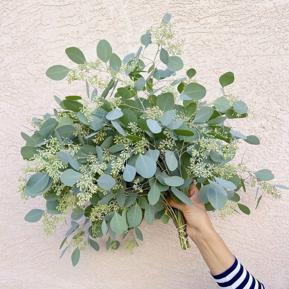 Seeded Eucalyptus Bundle Fresh/Dried | Wedding Foliage Greenery - Hello Eucalyptus