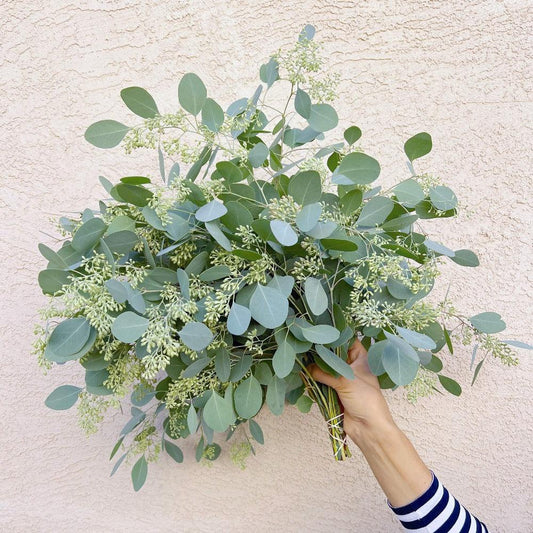 Seeded Eucalyptus Bundle Fresh/Dried | Wedding Foliage Greenery - Hello Eucalyptus
