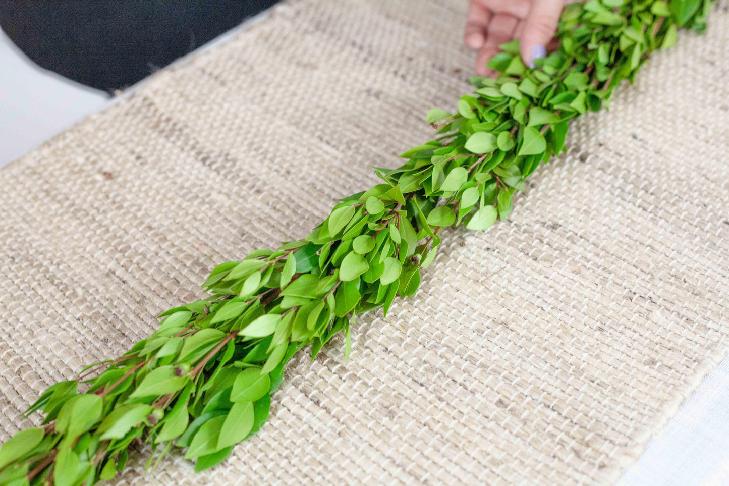 25' Delicate Real Greenery Garland Myrtle - Hello Eucalyptus