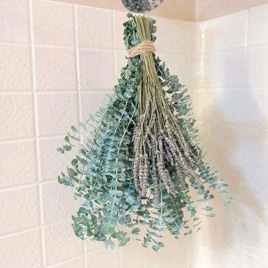 Fresh Eucalyptus Shower Bundle - Hello Eucalyptus