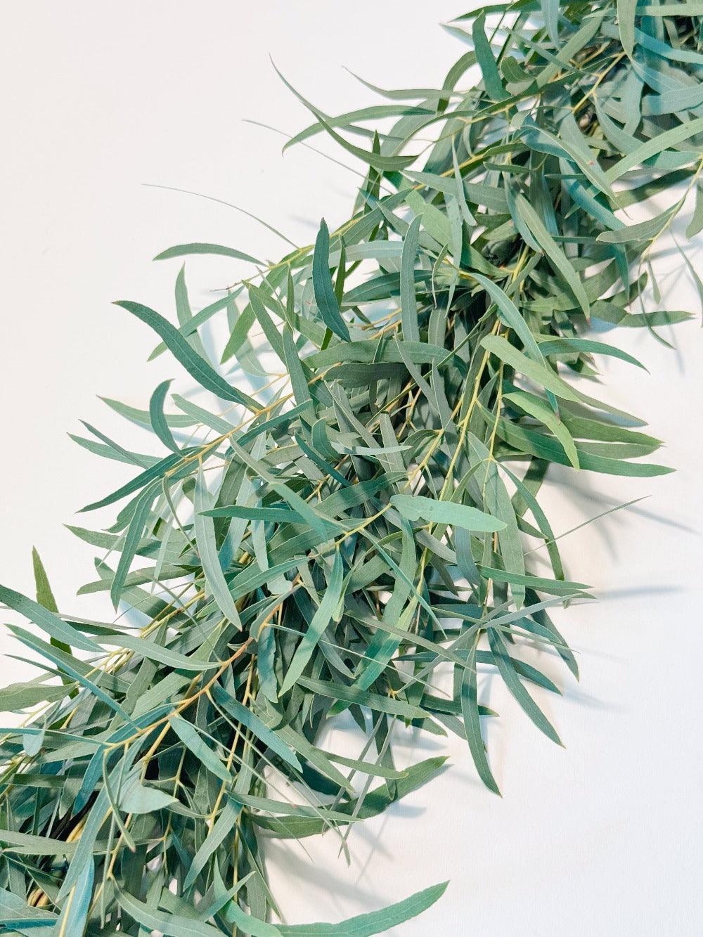 Fresh Feather Eucalyptus Garland - Hello Eucalyptus