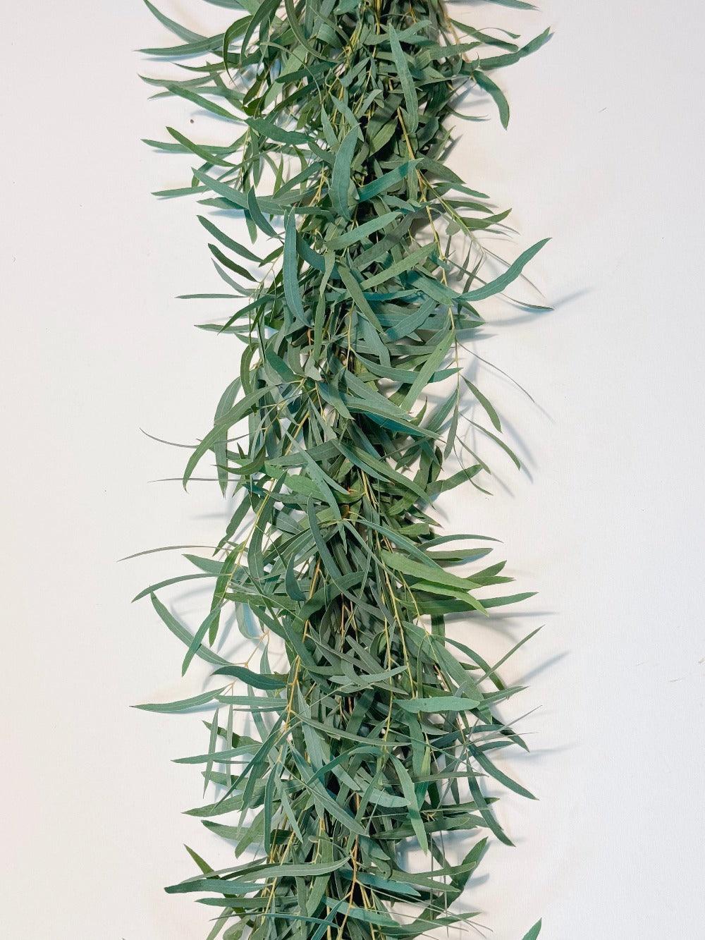 Fresh Feather Eucalyptus Garland - Hello Eucalyptus