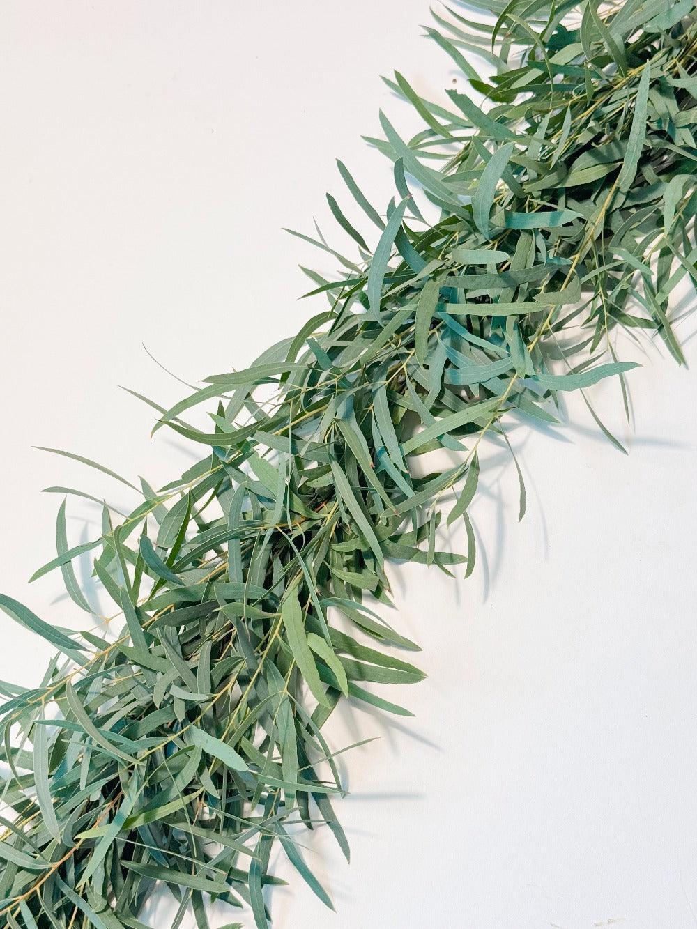 Fresh Feather Eucalyptus Garland - Hello Eucalyptus