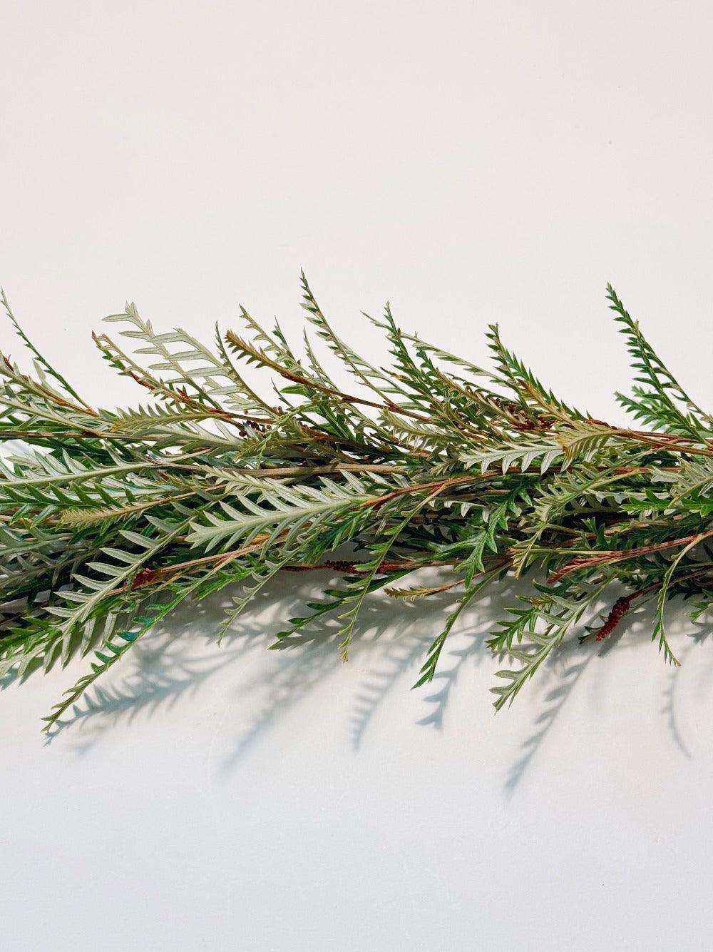 Fresh Grevillea Garland - Hello Eucalyptus