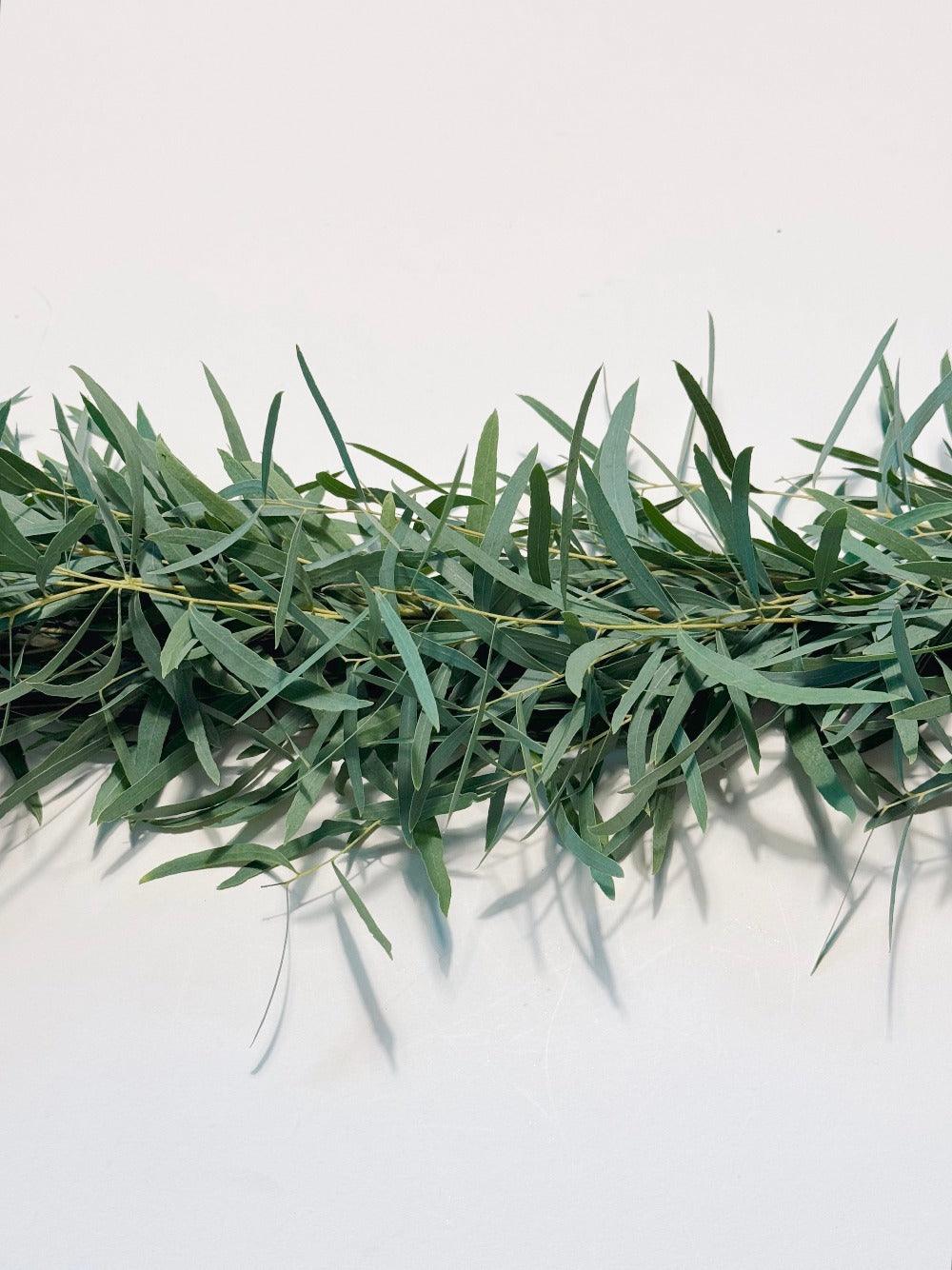 Fresh Feather Eucalyptus Garland - Hello Eucalyptus