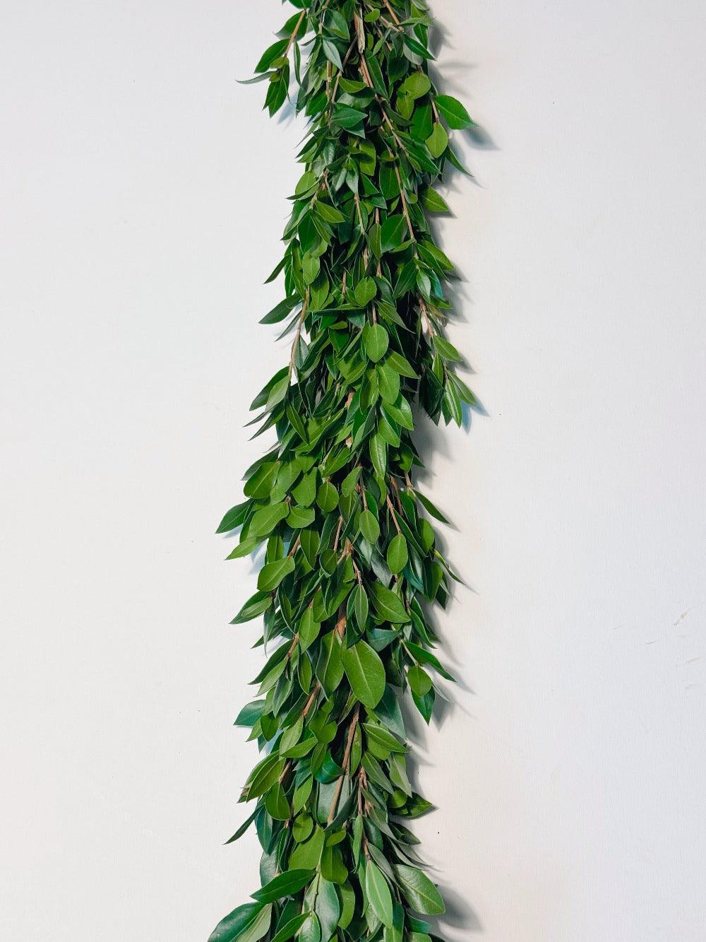 Fresh Myrtle Garland - Hello Eucalyptus