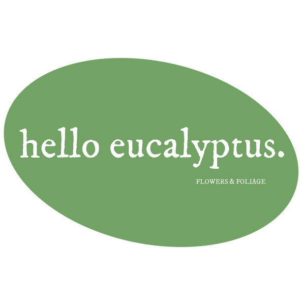 Hello Eucalyptus