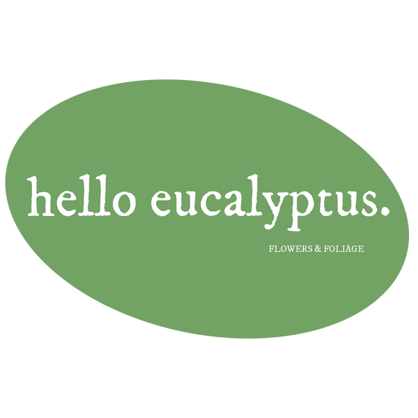 Hello Eucalyptus 