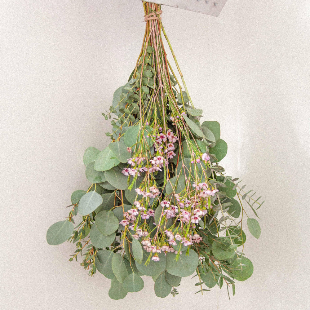Fresh Deluxe Mixed Eucalyptus & Wax Flower Shower Bundle - Hello Eucalyptus