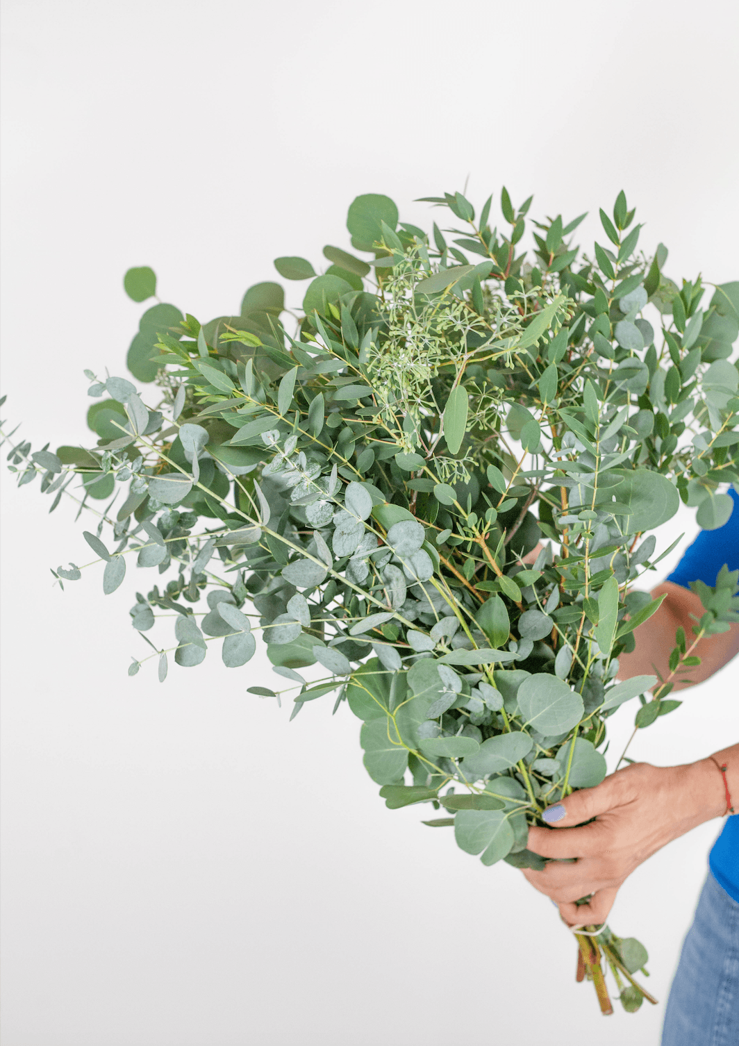 Mixed Fresh Eucalyptus Bouquet - Hello Eucalyptus