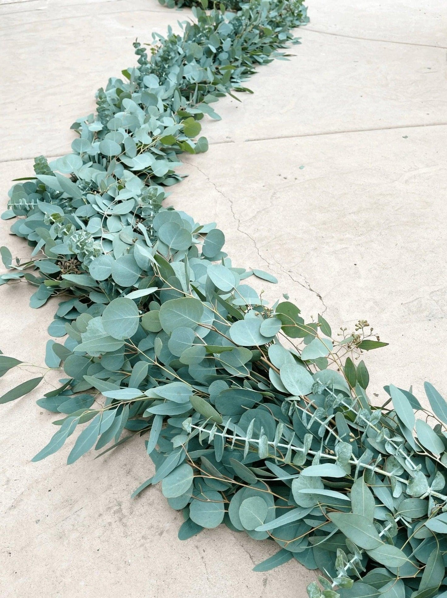 Fresh Deluxe Mixed Eucalyptus Garland - Hello Eucalyptus