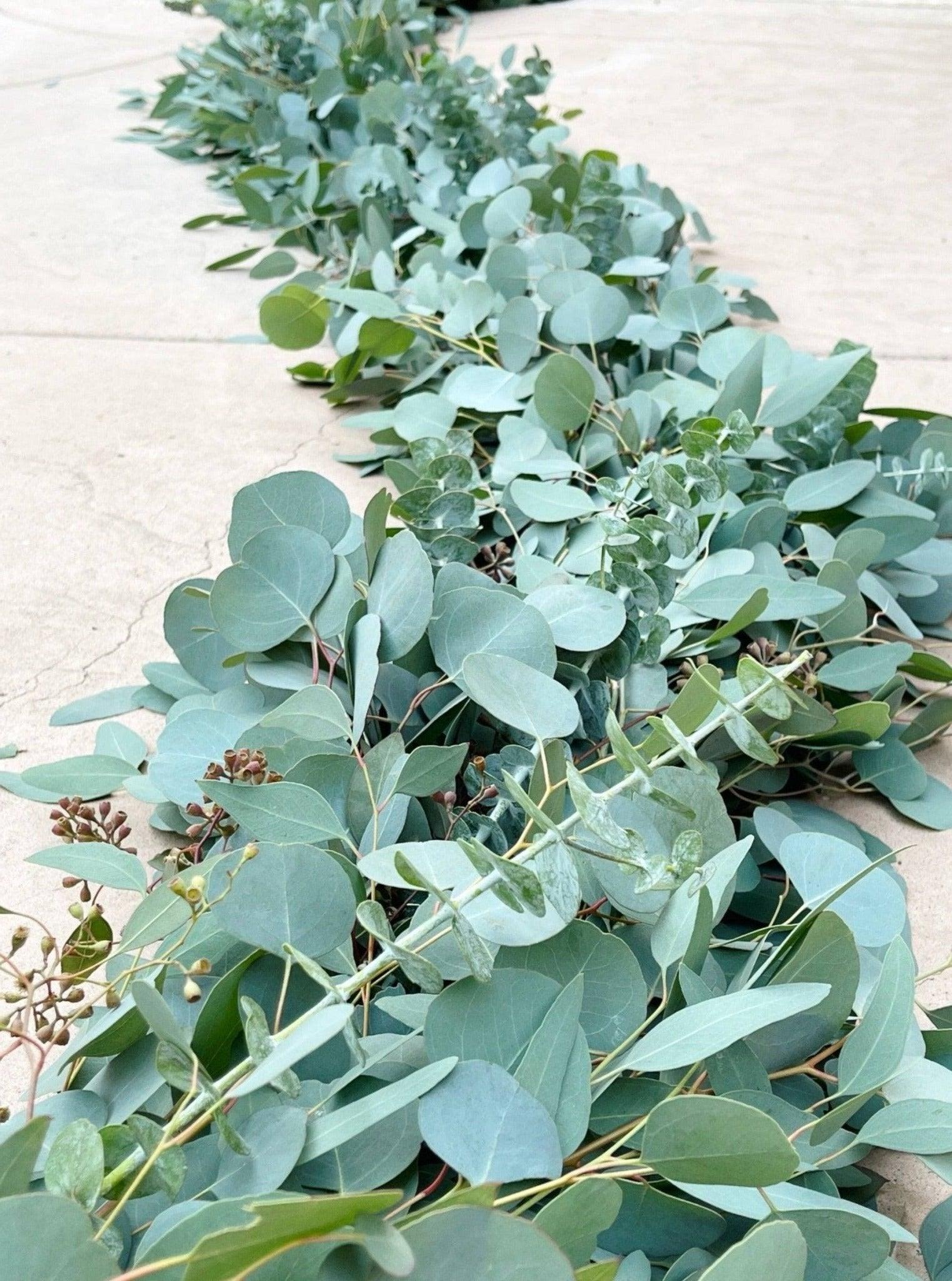 Silver Dollar Eucalyptus Garland Silver dollar eucalyptus garland