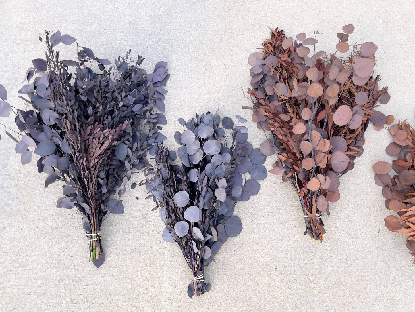 Preserved Mixed Silver Dollar Eucalyptus Bouquet - Hello Eucalyptus