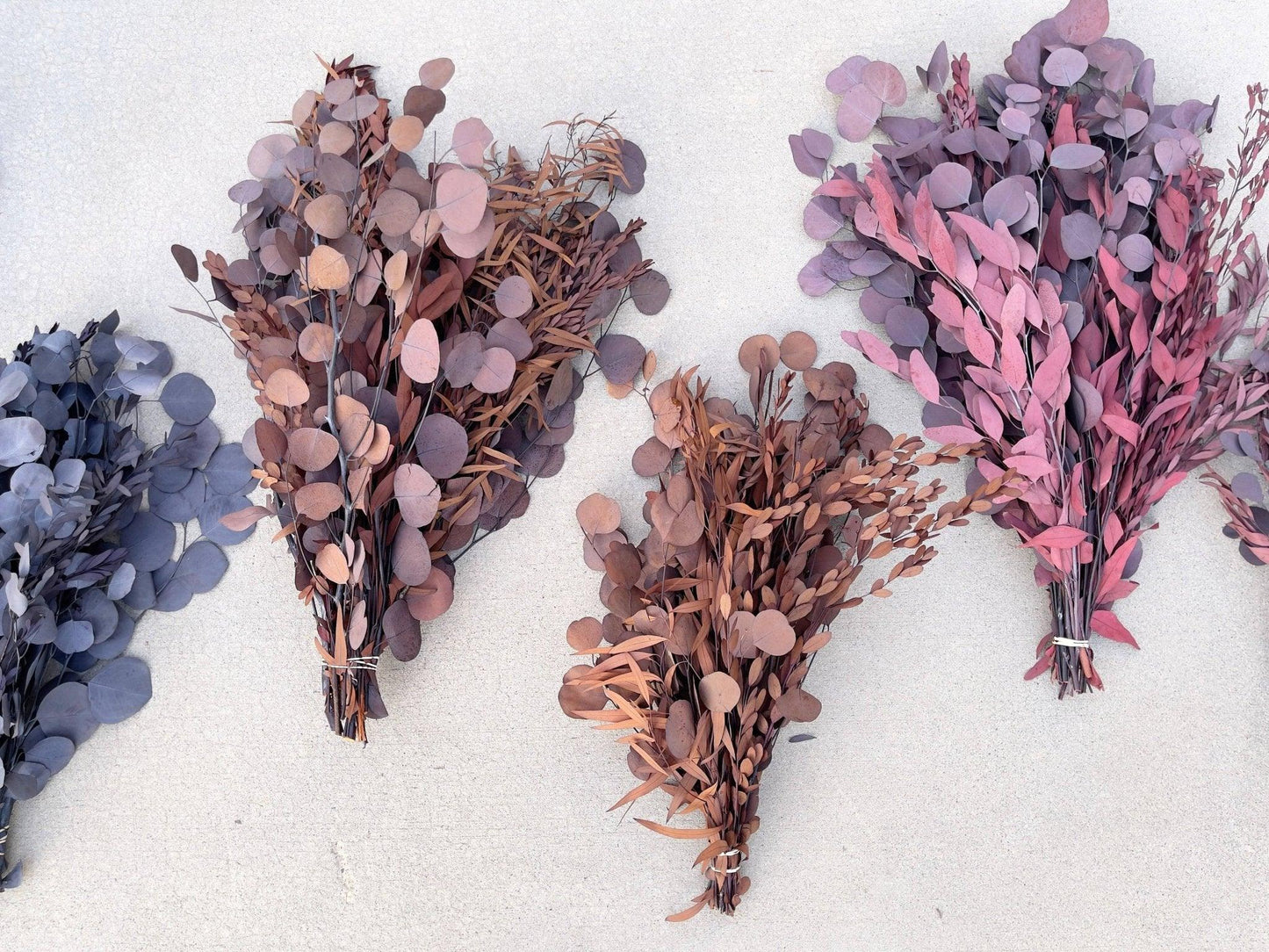 Preserved Mixed Silver Dollar Eucalyptus Bouquet - Hello Eucalyptus