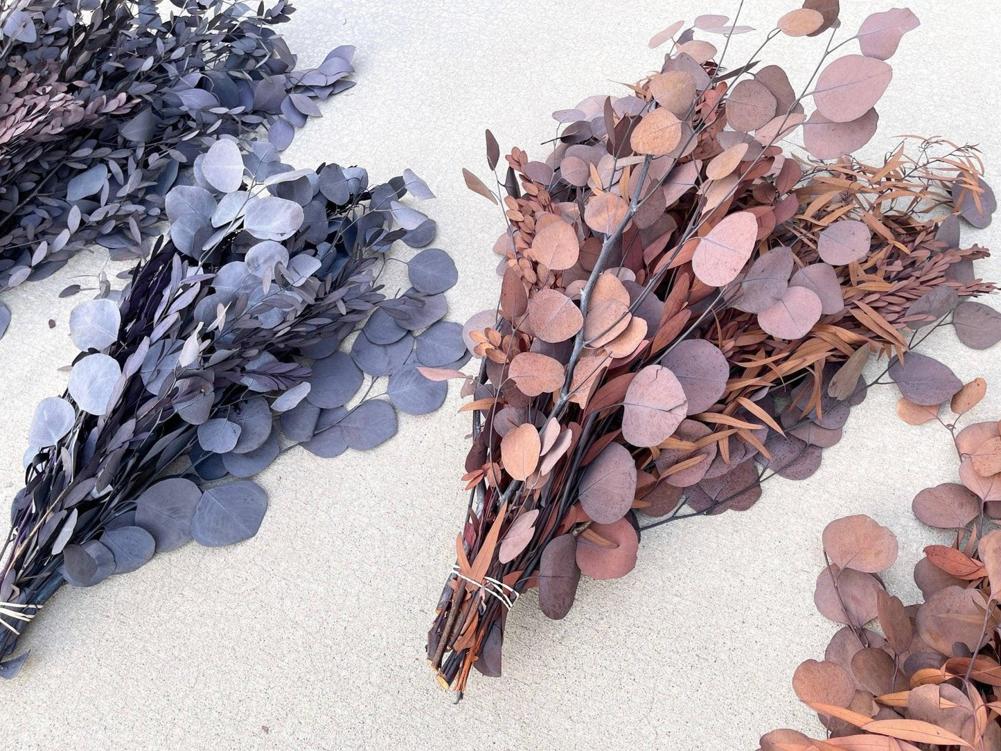 Preserved Mixed Silver Dollar Eucalyptus Bouquet - Hello Eucalyptus
