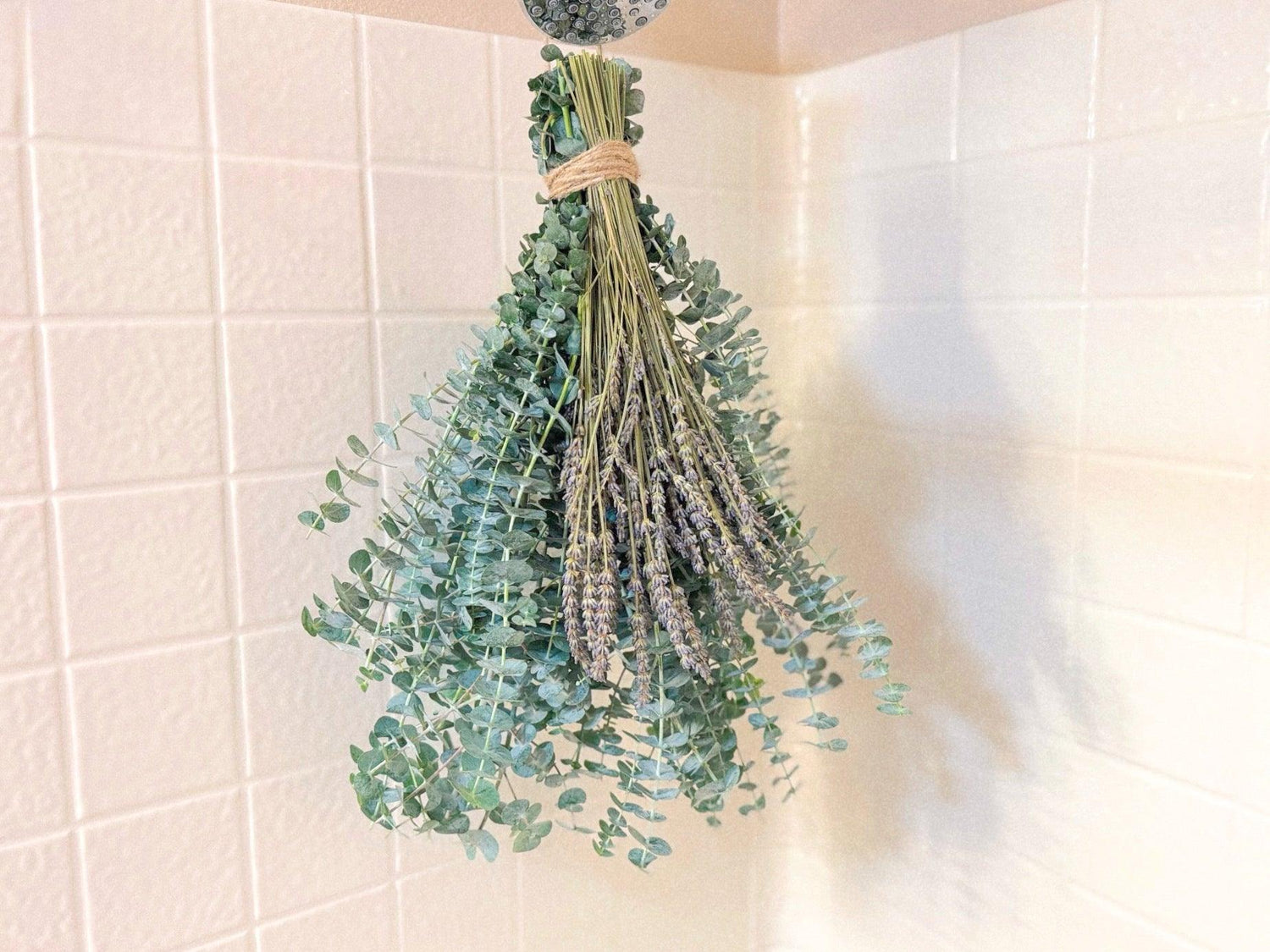 Eucalyptus Shower Bundles