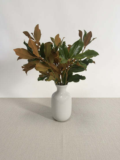 Fresh Magnolia Branches  – Premium Cut Greenery