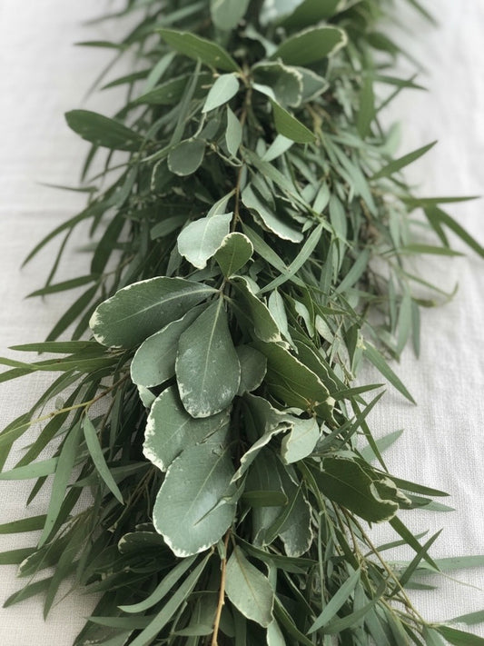 Fresh Variegated Pittosporum & Feather Eucalyptus Garland