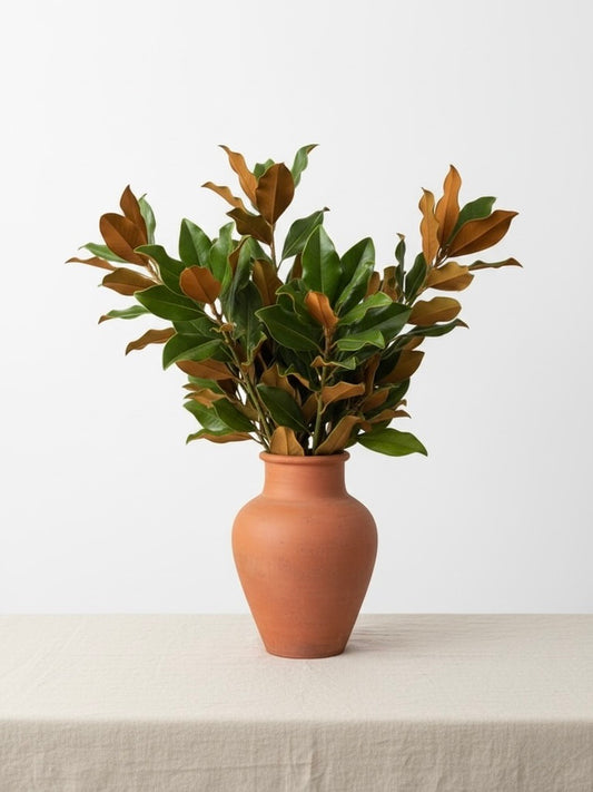 Fresh Magnolia Branches  – Premium Cut Greenery