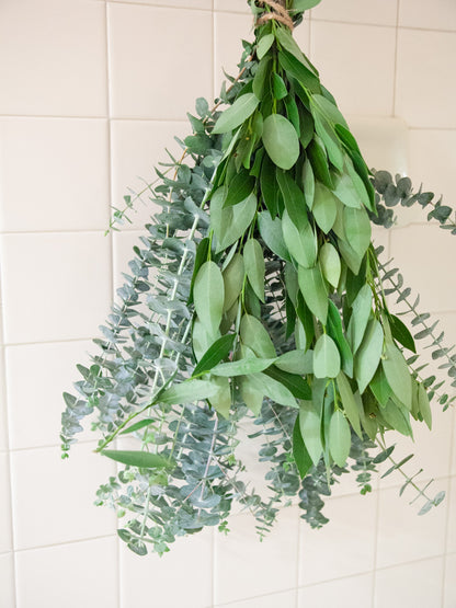 Bay Leaf & Baby Eucalyptus Shower Bundle (Limited)