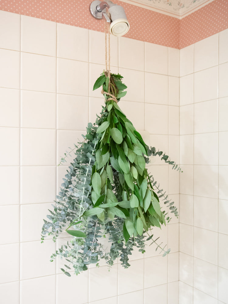 Bay Leaf & Baby Eucalyptus Shower Bundle (Limited)
