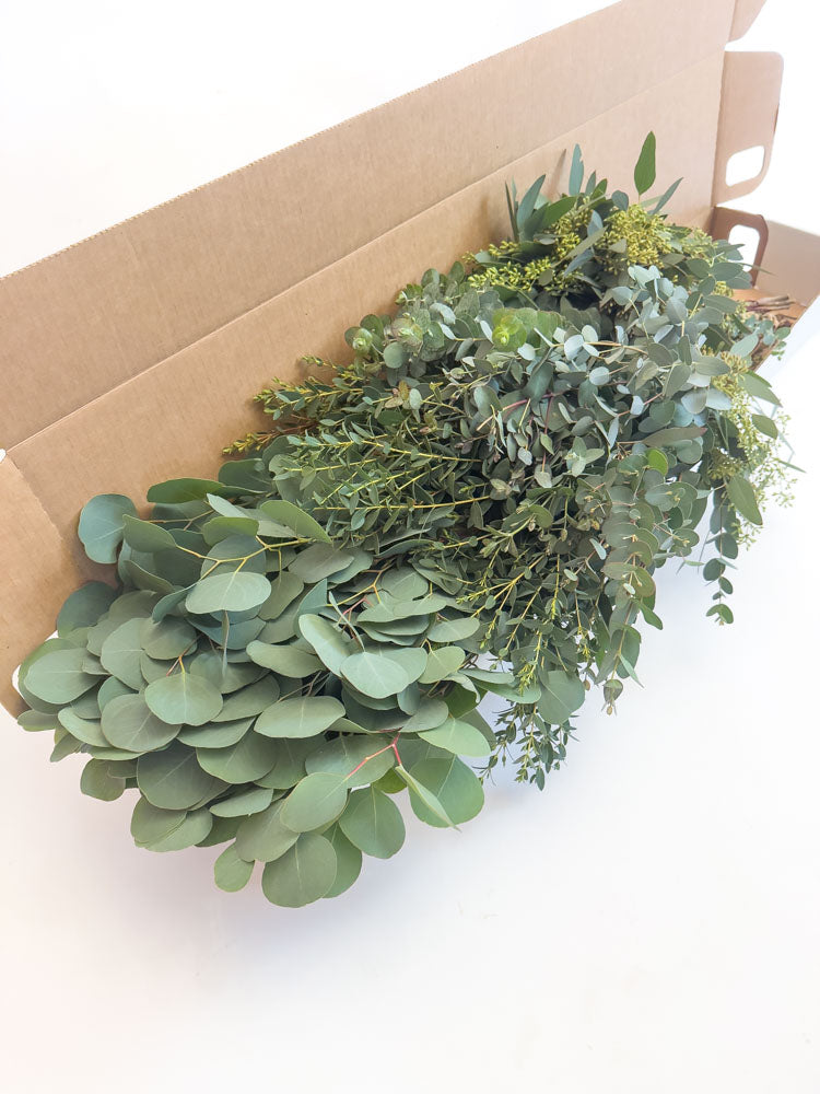 Bulk Assortment Eucalyptus Greenery Box