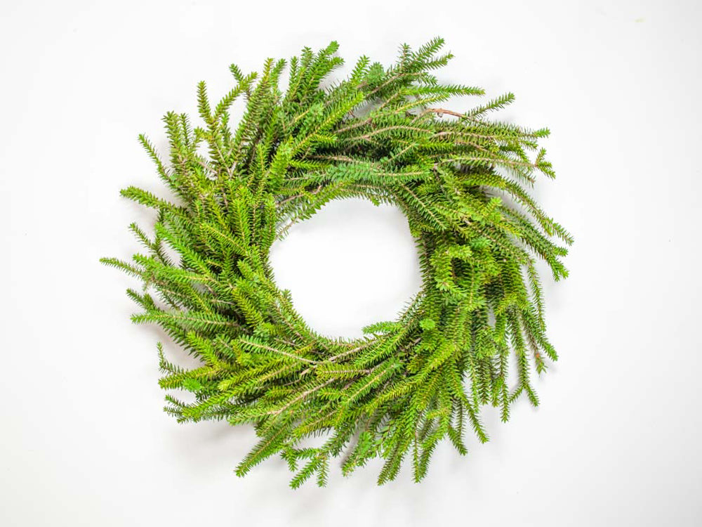 Fresh Seasonal Wreaths – Designer’s Choice, San Diego Resident Exclusive