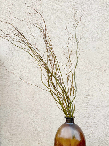 curly willow in vase