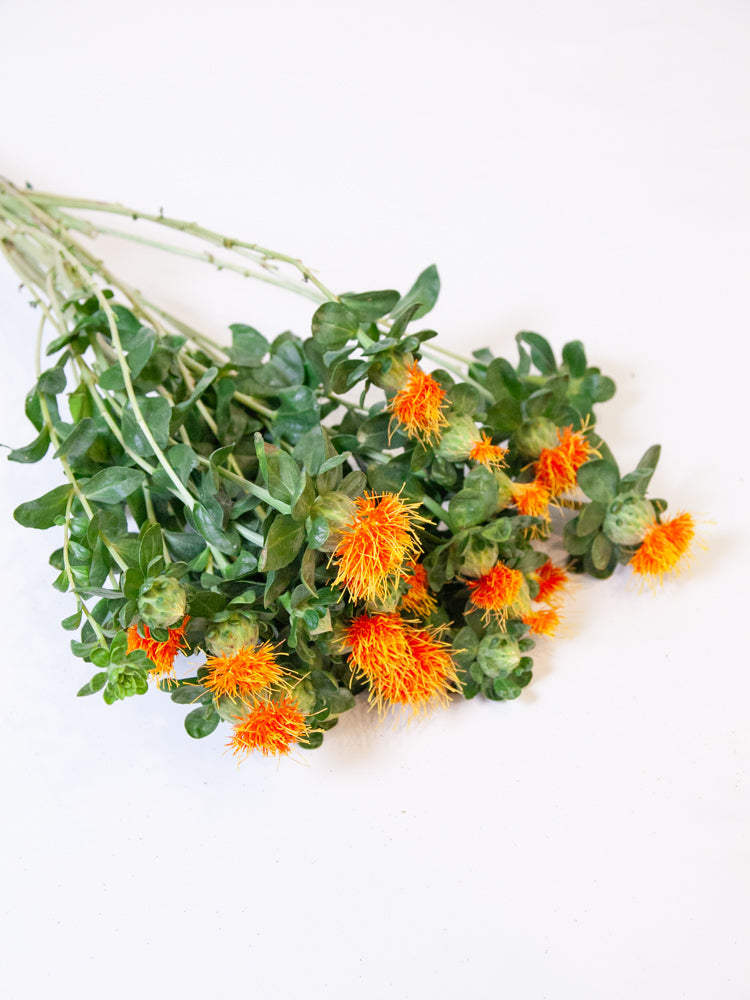 Bulk Safflower