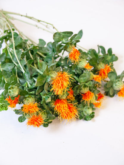 Bulk Safflower