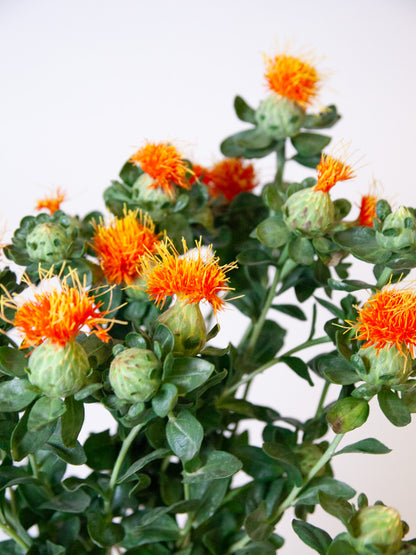 Bulk Safflower
