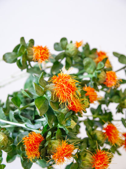 Bulk Safflower