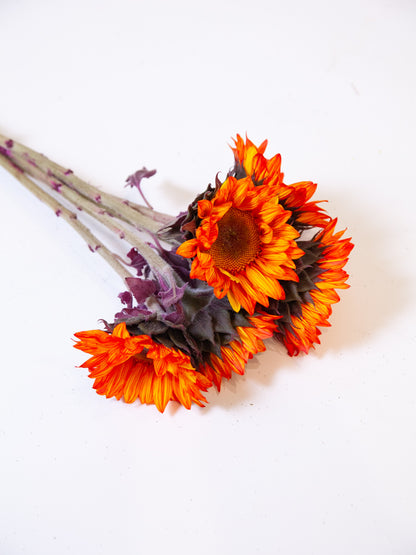 Bulk Tinted Sunflowers