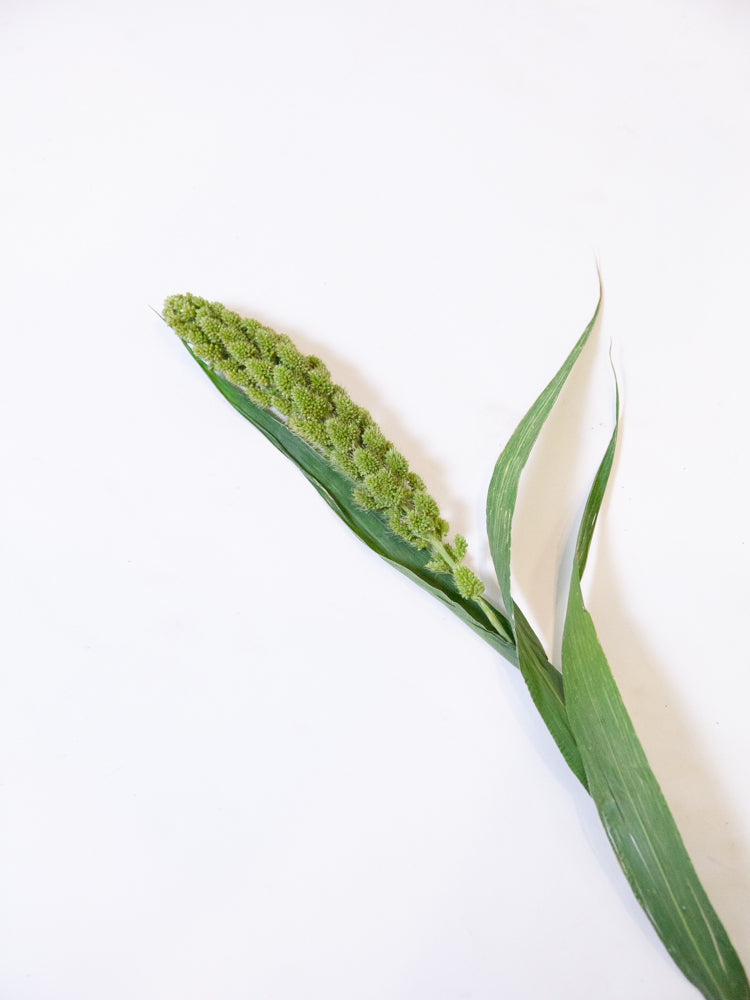 Bulk Green Hanging Millet