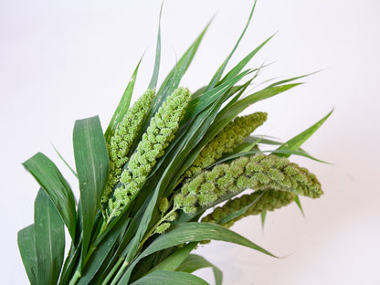 Bulk Green Hanging Millet
