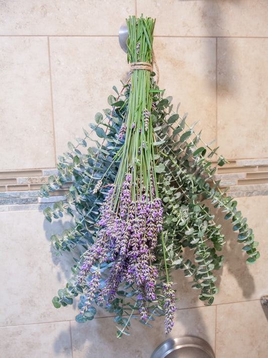 "Limited" Fresh Lavender Deluxe Eucalyptus Shower Bundle