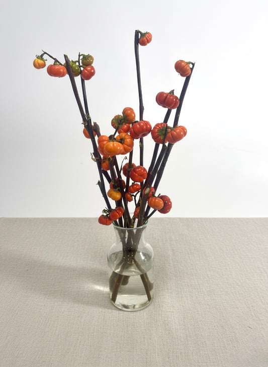 Seasonal Greens / Foliage - Designer’s Choice, California Resident Exclusive